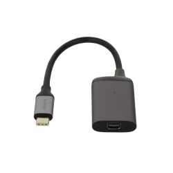 Networx USB-C Hub to USB-C/Mini Displayport Adapter Verteiler spacegrey