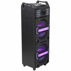Denver DJS-3010 Bluetooth DJ-Lautsprecher 10 Zoll Speaker Turm-Lautsprecher schwarz