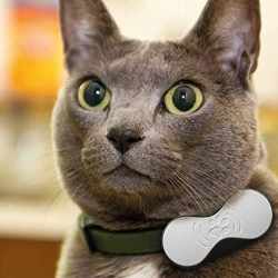 Cat Berlin Carl GPS-Tracker f&uuml;r Hund und Katze Tiertracker grau