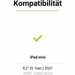 Artwizz SecondDisplay Displayschutz passend Apple iPad mini 8,3&quot; 2021 transparent